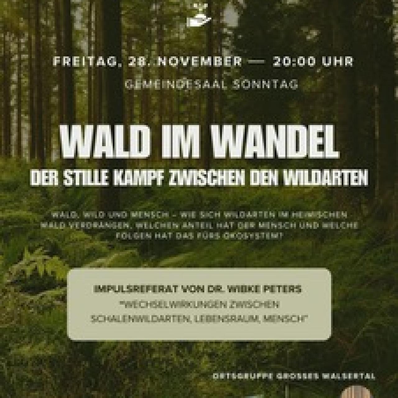 Wald im Wandel